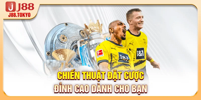 Chiến thuật đặt cược đỉnh cao dành cho bạn